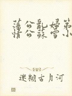 荡公乱妇第1章情公苏雪小说