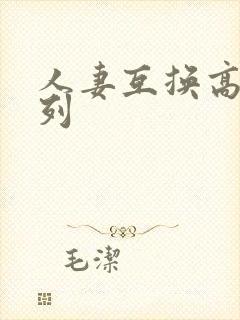人妻互换高h系列