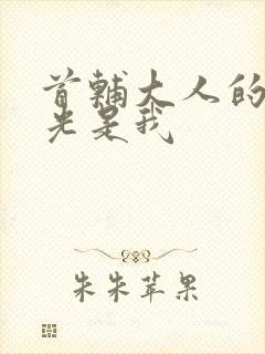 首辅大人的白月光是我