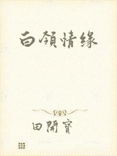 白领情缘