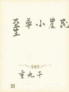 至尊小农民王木生