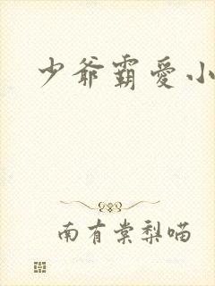 少爷霸爱小丫头