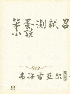 笨蛋测试召唤兽小说