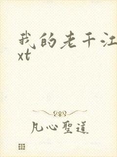 我的老千江湖txt