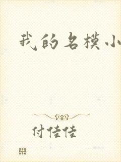 我的名模小娇妻