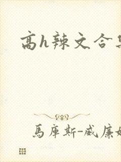 高h辣文合集