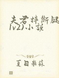 夫君摔断腿后(1v2)小说