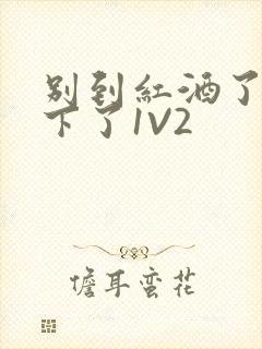 别到红酒了装不下了1V2