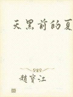 天黑前的夏天