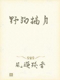 野狗摘月