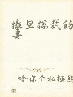 撒旦总裁的下堂妻