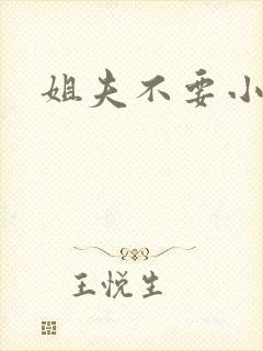 姐夫不要小说