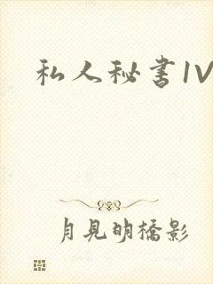 私人秘书1V1