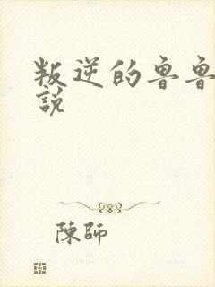 叛逆的鲁鲁修小说