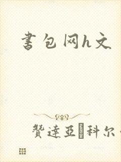 书包网h文