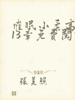 催眠小柔高达第13章免费阅读