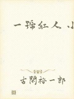一号红人 小说