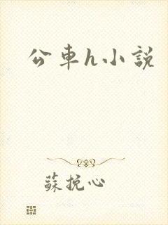 公车h小说