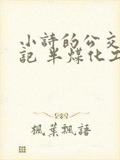 小诗的公交车日记 半煤化工
