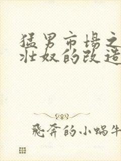 猛男市场之肌肉壮奴的改造