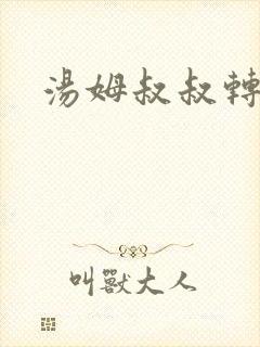 汤姆叔叔转接口