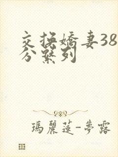 交换娇妻38部分系列