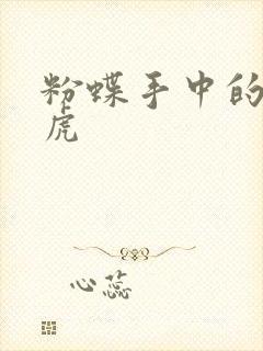 粉蝶手中的纸老虎