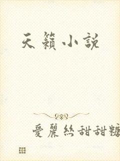 天籁小说