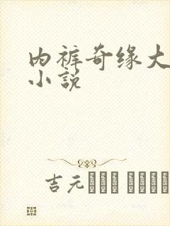 内裤奇缘大团结小说