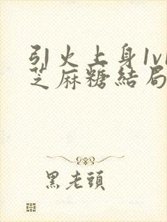 引火上身1v1芝麻糖结局