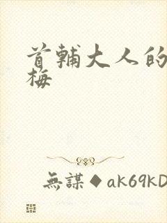 首辅大人的小青梅