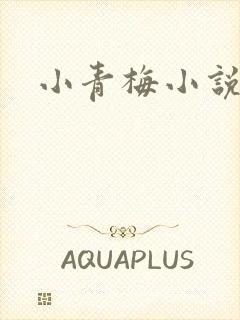 小青梅小说