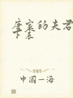 唐家的夫君们帘下衾