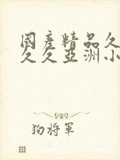 国产精品久久久久久亚洲小说