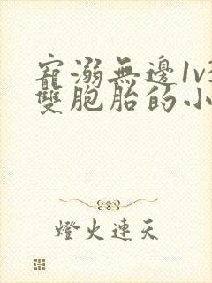 宠溺无边1v3双胞胎的小说