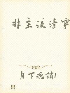 非主流清穿