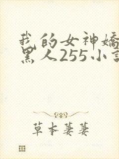 我的女神娇妻与黑人255小说