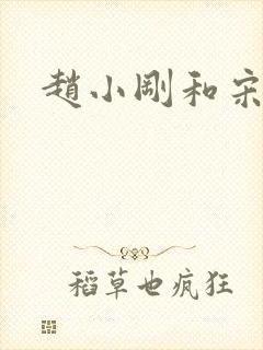 赵小刚和宋雨晴