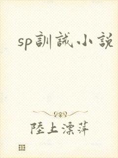 sp训诫小说