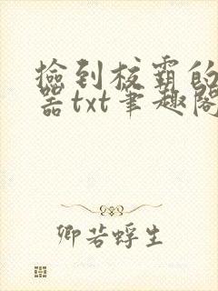 捡到校霸的遥控器txt笔趣阁