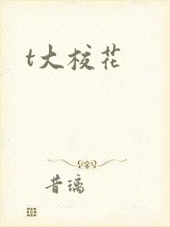 t大校花