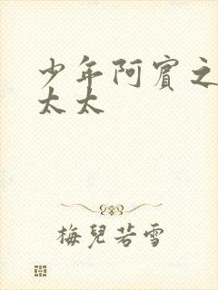 少年阿宾之房东太太