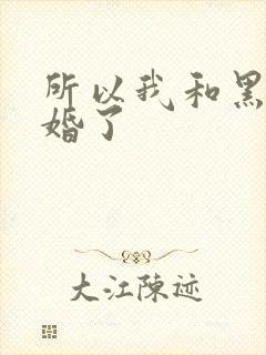 所以我和黑粉结婚了