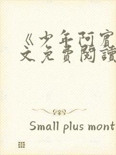 《少年阿宾》全文免费阅读