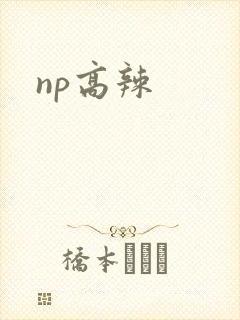np高辣