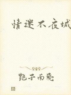 情迷不夜城
