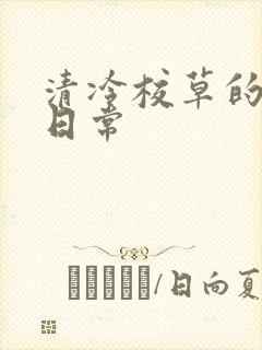 清冷校草的抹布日常