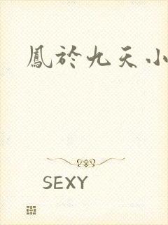 凤于九天小说
