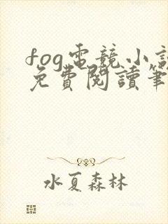 fog电竞小说免费阅读笔趣阁未删减版