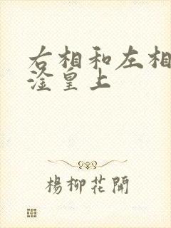 右相和左相一起淦皇上